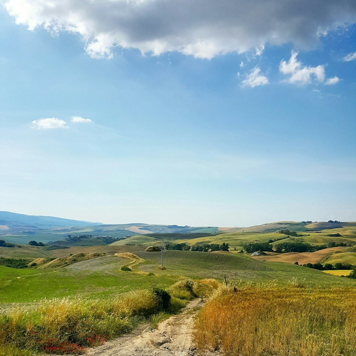 The Trimbak Retreat